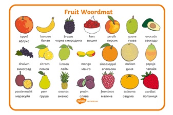 Fruit woordmat – Oekraïens | Nederlands