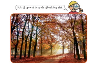 Vertel me wat je ziet
