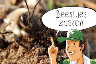 Buitenopdracht: Beestjes zoeken | groep 1-8