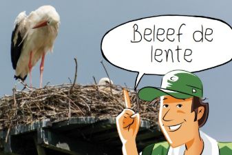 In de klas: Beleef de lente | groep 1-8