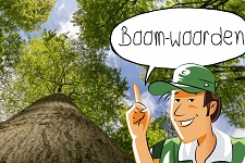 Boom-woorden: Wedstrijdje woorden | groep 1-7