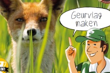 Doe-opdrachten Buiten in het bos