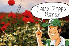 Daisy, Poppy, Pansy | groep 5-8