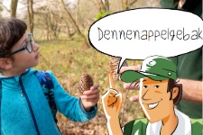 Doen in de klas: Dennenappelgebak voor groep 1-6