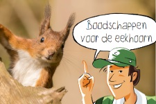 Buitenopdracht: Boodschappen voor de eekhoorn voor groep 1-5