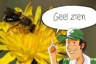 Geel zien | groep 1-5