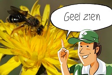 Geel zien: Zoeken tot je geel ziet | groep 1-5