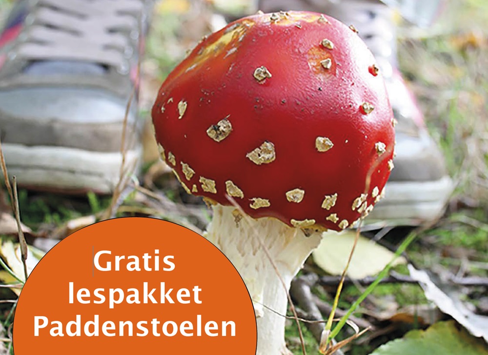 Gratis lespakket Paddenstoelen