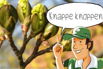 Buitenopdracht: Knappe koppen | groep 6-8