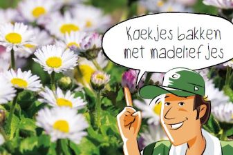 Koekjes bakken met madeliefjes | groep 3-5
