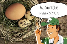 Natuurlijke paaseieren | groep 1-6