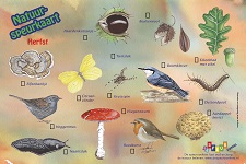 Natuurspeurkaarten - herfst