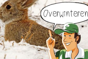 Buitenopdracht: Overwinteren | groep 4-6