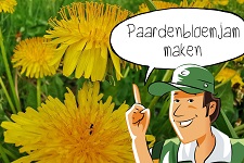Paardenbloemjam maken | groep 1-8