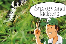 Snakes and ladders | groep 5-6