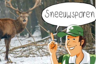 Buitenopdracht: Sneeuwsporen | groep 4-6