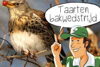 In de klas: Taartenbakwedstrijd | groep 1-6