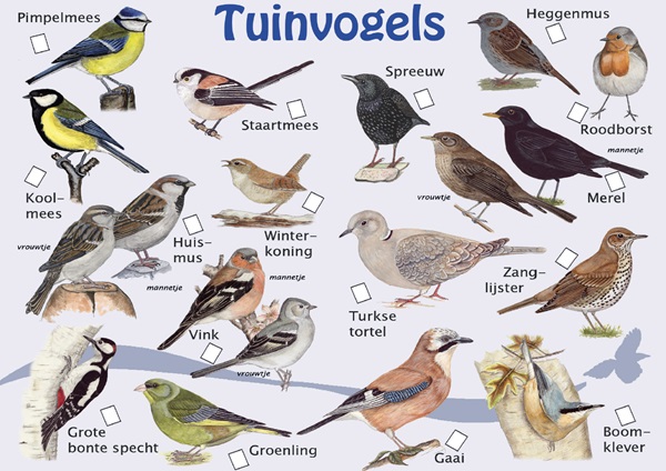 Tuinvogels