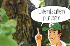 Doen in de klas: Uilenballen pluizen voor groep 5-8