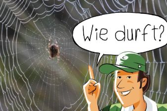 Wie durft? | groep 3-5