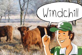 Buiten beweeg opdracht: Windchill | groep 1-4