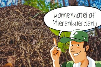 In de klas: Wormenhotel of Mierenboerderij | groep 5-8