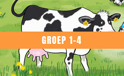 Groep 1 t/m 4