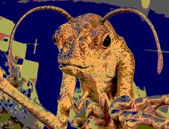 Aliens op bezoek