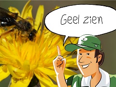 Doe-opdrachten tuin