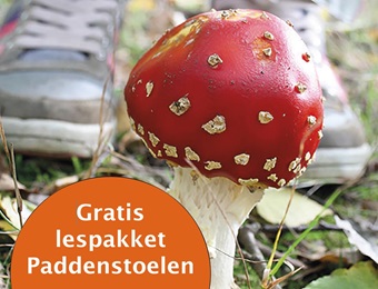 Paddenstoelen