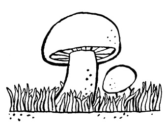 KlasseBoekjes Herfst