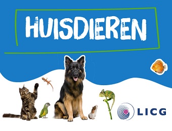 Lespakket over houden van huisdieren