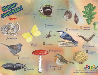 Natuurspeurkaarten