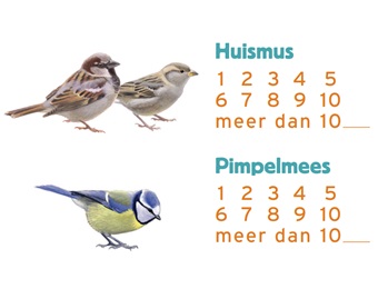 Nationale Tuinvogeltelling
